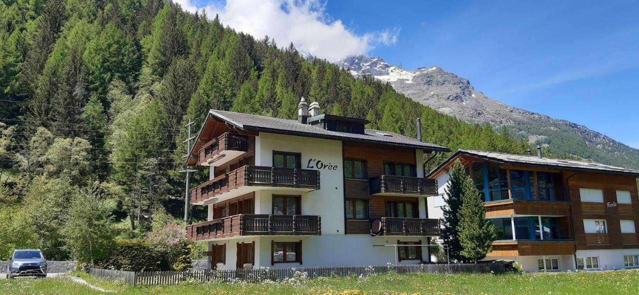 Free Cable Car & Bus In The Summer Haus L'Oree Saas-Grund Εξωτερικό φωτογραφία